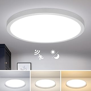 24W Led Lampe Deckenlampe mit Radar Bewegungsmelder 30cm Flur Deckenleuchte für Aussen, Moderne …