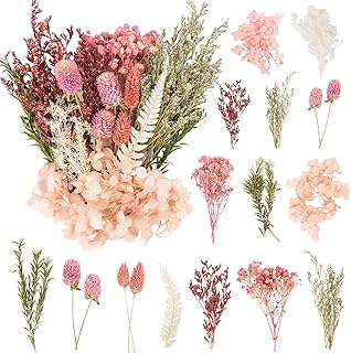 LAUMOE Getrocknete Blumen,Trockenblumen Zum Basteln Mini Trockenblumen Set für DIY Epoxidharz Sc…