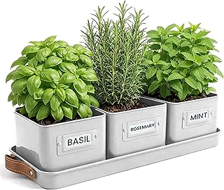 Green Thumbz 3 STK. Kräutertopf – Kräutertöpfe für Deinen Kräutergarten und Fensterbank Inne…