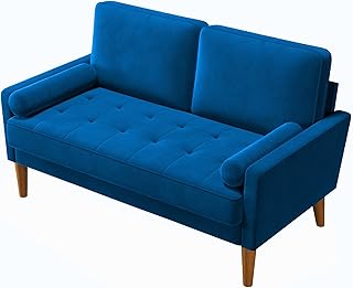 Vesgantti Couch 2 Sitzer, Samt Kleines Sofa mit 2 Wurfkissen, Modern Mini Sofa, Getuftetes Kleine…