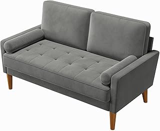 Vesgantti Couch 2 Sitzer, Samt Kleines Sofa mit 2 Wurfkissen, Modern Mini Sofa, Getuftetes Kleine…
