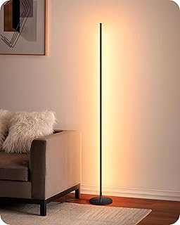 EDISHINE Stehlampe Wohnzimmer, LED Stehlampe Dimmbar, 3000K warmweiße Stehleuchte mit Memory-Fun…