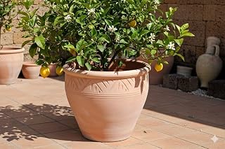 Pflanzkübel,Streifenmuster,Blumentopf,Terracotta hell,frostfest!3 Größen wählbar (32 cm)
