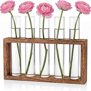 Cieex Kleine Vintage Blumenvase, Modern Glas Reagenzgläser Mit Ständer Holz für Hydrokultur Pf…