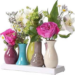 Mini Vasen Set 7er Bunt aus Keramik – Kleine Blumenvasen für Tischdeko, Fensterbank & Wohnzimm…