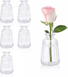 6 Stück Kleine Vasen für Tischdeko (11× 6,5cm) Mini Glasvase Set Blumenvasen für Tischdeko Ho…