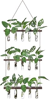 XXXFLOWER Reagenzgläser für Blumen,Kleine Vasen Set mit Ständer für Pflanzen,3X5 Propagation …