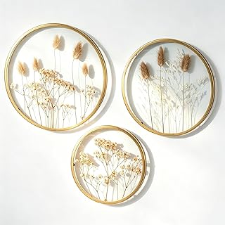 Wanddeko Boho Gold GlasrahmenSet mit Getrockneten Blumen 3-teilig | Doppelglasrahmen Trockenblume…
