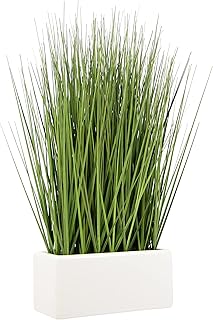 Flair Flower Gras in Schale aus Keramik Grünpflanze Kunstpflanze Kunstgras Dekogras Grasbusch Kr…