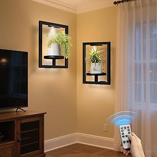 BAOYOUNI Wand-Pflanzenhalter mit Licht, Metallfenster, Pflanzenregal, moderner schwebender Pflanz…