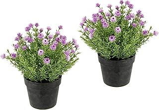 Flair Flower Mini Blütenbusch im Topf Künstlich Wachsblume Heidenkrant Busch Tischdeko Mittelst…