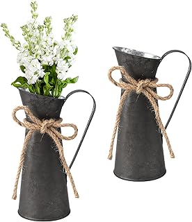 APOMOONS 2 Stück Blumenvase, Milchkanne aus Metall Vase, Landhausstil Deko, Rustikale Deko, Retr…