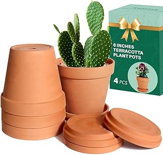 vensovo 15,2 cm Tontopf für Pflanze mit Untersetzer – 4 Stück großer Terrakotta-Blumentopf m…