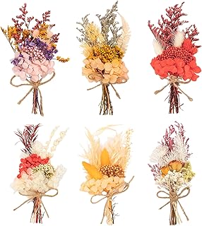LAUMOE 6 Bündel Trockenblumenstrauß, Trockenblume, Getrocknete Blumen, Trockenblumen Zum Bastel…