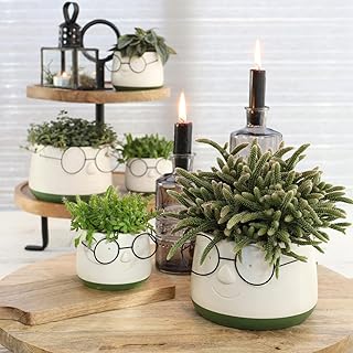 Annastore Blumenübertöpfe aus Keramik in witzigem Design – Blumentöpfe – Übertöpfe aus Keram…