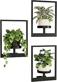 Bamworld Wandbehang Pflanzgefäße für Zimmerpflanzen 3 Set Wand Blumenständer Moderner Pflanze…