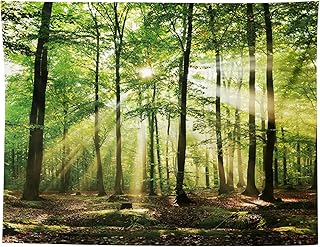 MIGIFTDY Waldbaum Wandteppich Extra Großer Nebliger Wald Wandbehang für Home Office Dorm Indoor…