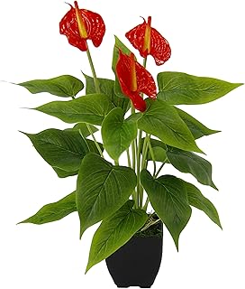 Künstliche Anthurium Pflanze im Topf Anthurie exotische Flamingoblume Flamingo Blume exotische P…